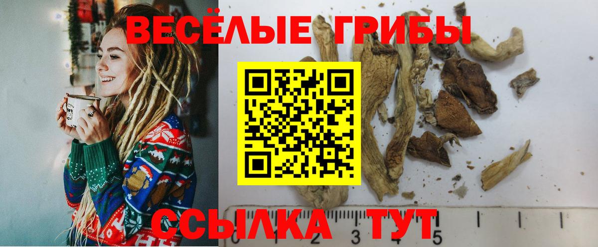 Тверь  купить   Вход с VPN  Псилоцибиновые грибы мицелий 